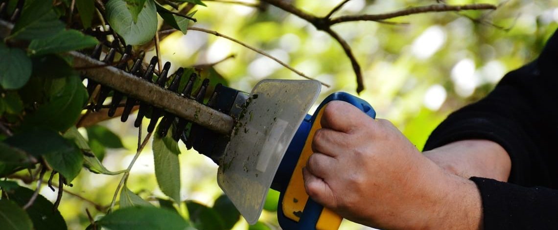 gardening services